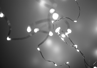 Light Particles