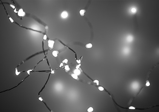 Light Particles